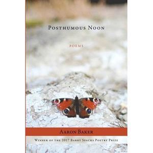 Posthumous Noon -- Aaron Baker
